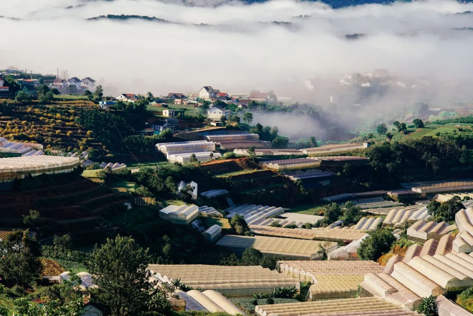 Vườn rau của Alăng Thị Hạnh